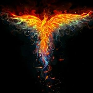 Meet your Posher, Kat